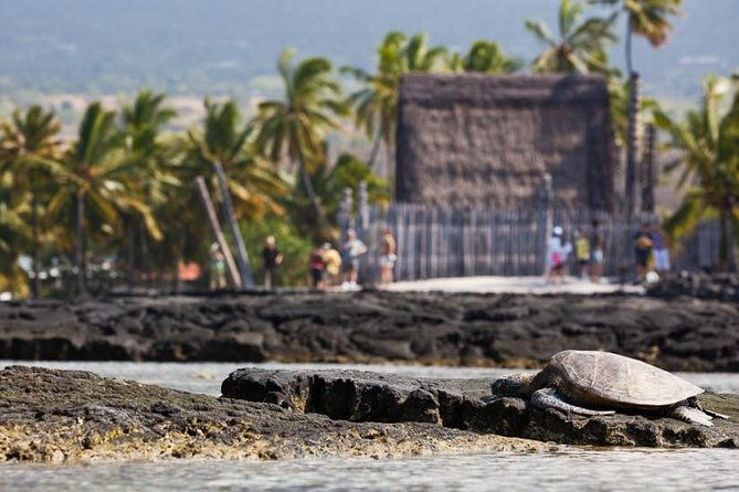 kona-tour-bee-farm-kona-coffee-and-national-historical-parks