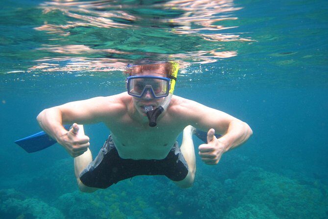 Kona's Deluxe Snorkel - Snorkel Captain Cook and Place of Refuge - A Close Look at the Itinerary and Highlights