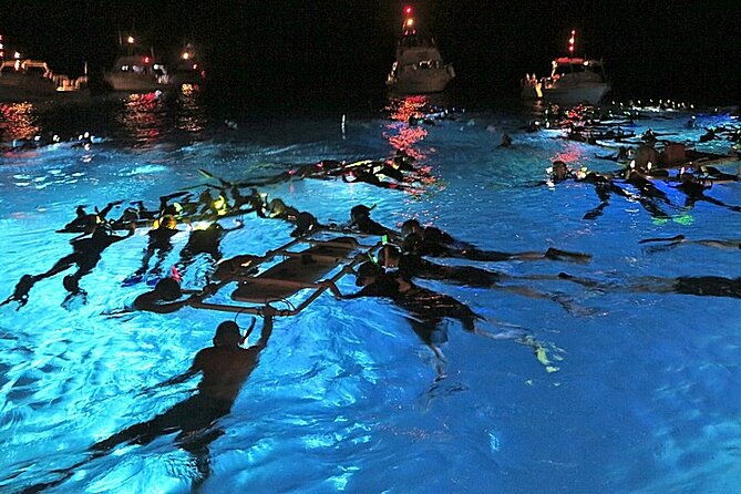 konas-magical-manta-ray-night-snorkel-small-group-eco-tour