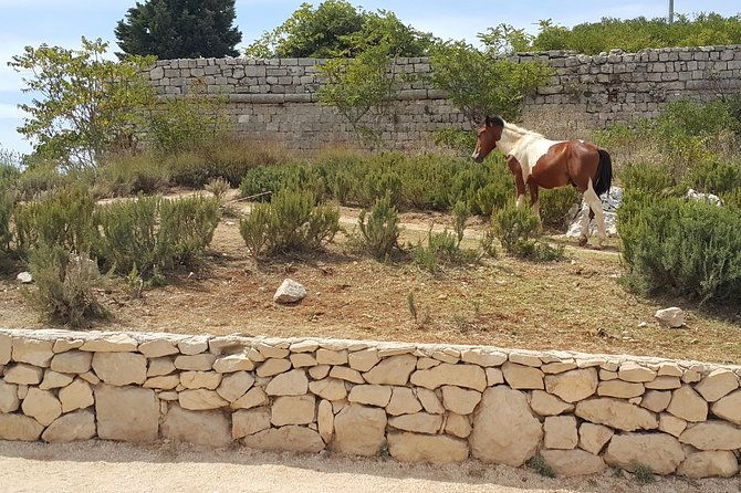 konavle-countryside-private-tour