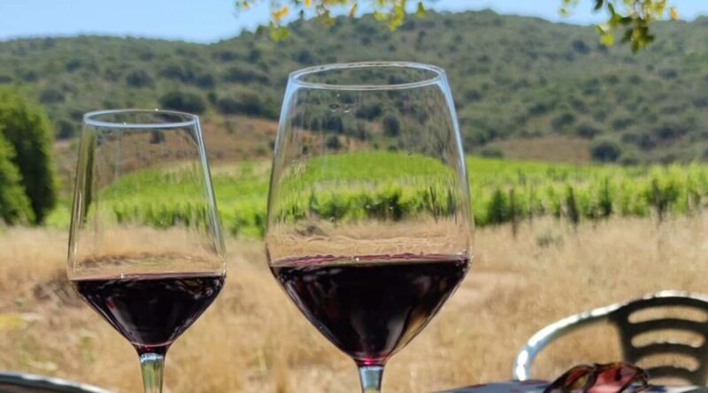 Konavle Private Countryside Experience with Wine & Spirits - Authentic Village Life & Stories