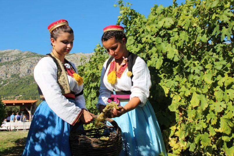 konavle-valley-private-half-day-tour-with-wine-tasting