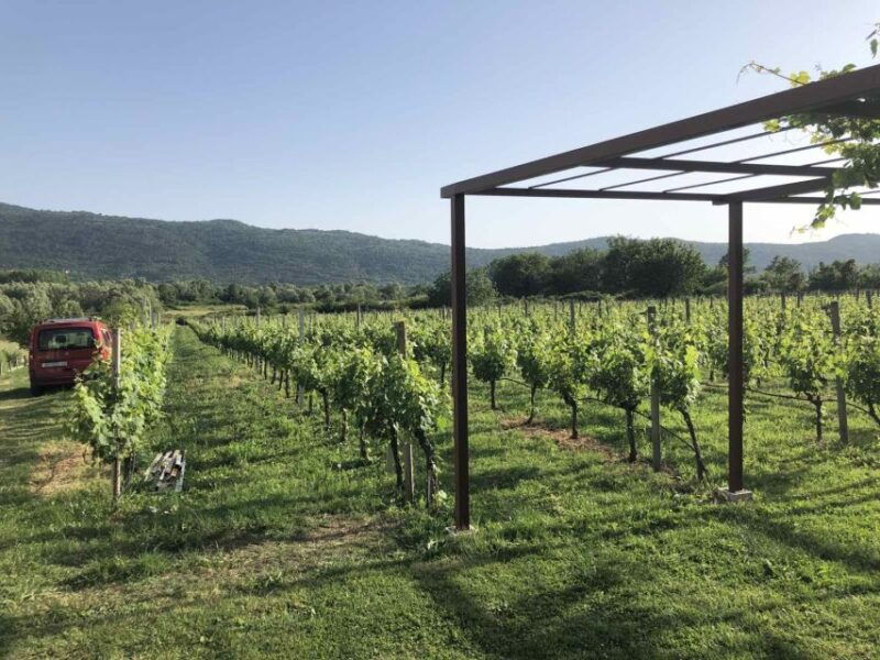 konavle-valley-private-half-day-tour-with-wine-tasting