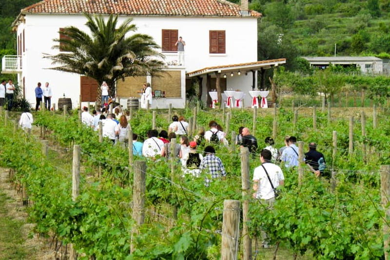 Konavle Valley: Tour with Wine Tasting from Dubrovnik - Authenticity and Cultural Insights