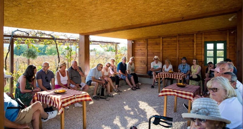 Konavle Valley: Tour with Wine Tasting from Dubrovnik - Who Is This Tour Best For?