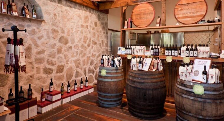 konavle-valley-wine-tasting-at-dubrovnik-cellars