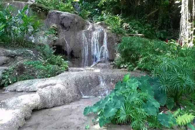 konoko-falls-and-tropical-garden-tour-from-runaway-bay