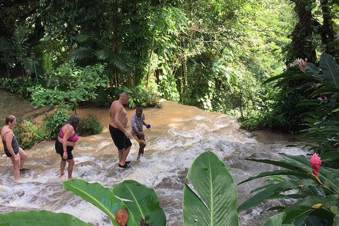 konoko-falls-and-tropical-garden-tour-from-runaway-bay