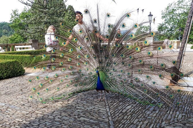 konopiste-castle-private-tour-from-prague