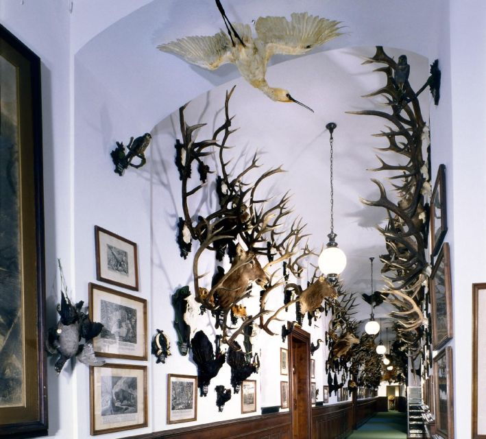 konopiste-chateau-tour-from-prague