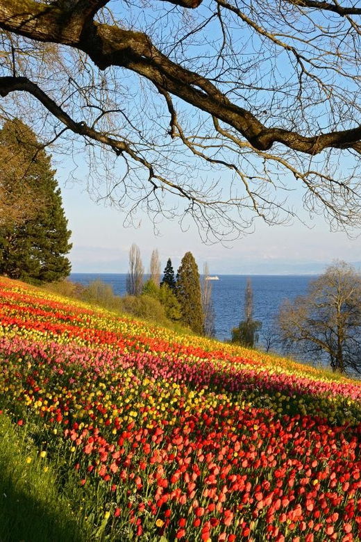 konstanz-mainau-island-entry-ticket