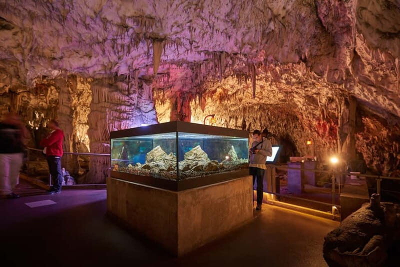 Koper: Postojna Cave and Predjama Castle Tour and Tickets - FAQ