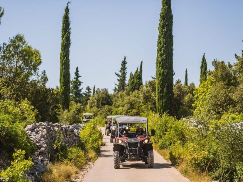 korcula-buggy-safari-with-wine-tasting