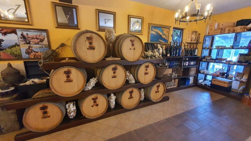 korcula-ston-wine-tasting-and-lunch-tour-from-dubrovnik-2