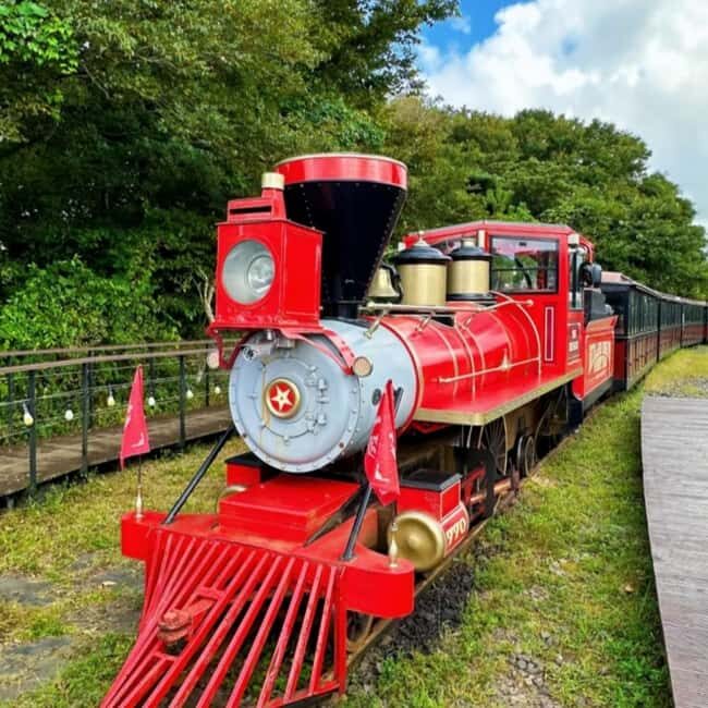 Korea Mt. Hallasan Echoland Park Forest Train & Entry Ticket - Key Points  