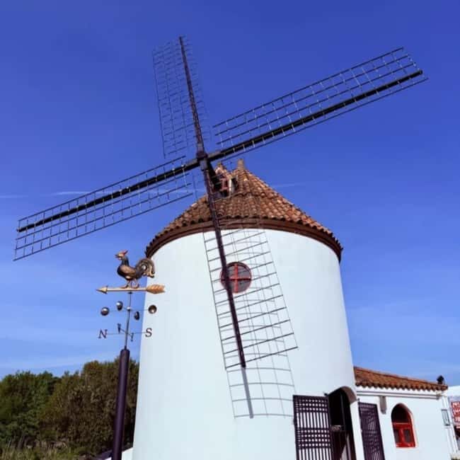 Korea Mt. Hallasan Echoland Park Forest Train & Entry Ticket - Frequently Asked Questions  