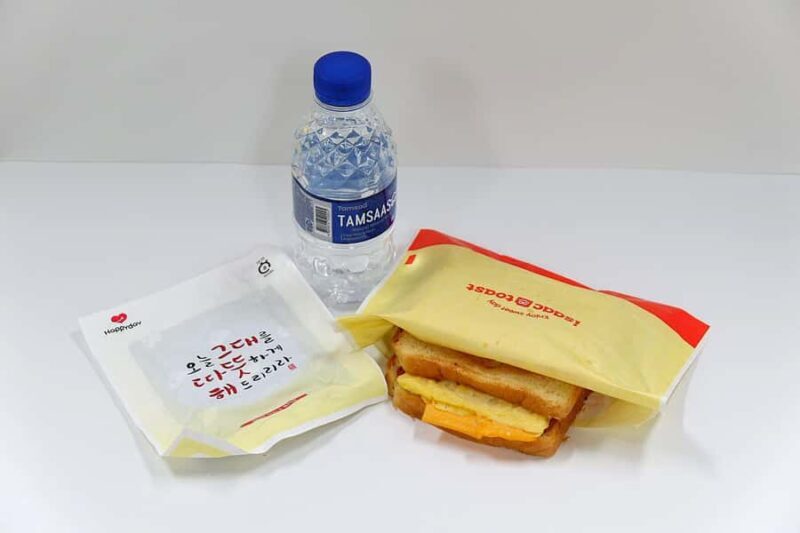 Korea Ski Tour from Seoul - Jisan Resort with Isaac Toast - Who Should Book This Tour?