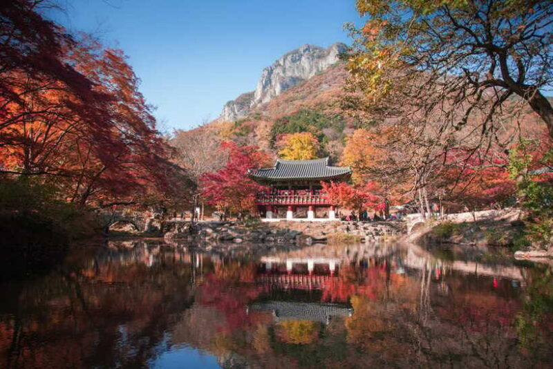 Korea: Trip and Itinerary Planning - Travel Effortlessly! - What Travelers Say About This Service