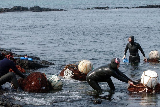 Korea UNESCO Sites 9days 8nights - The Ultimate Highlight: DMZ