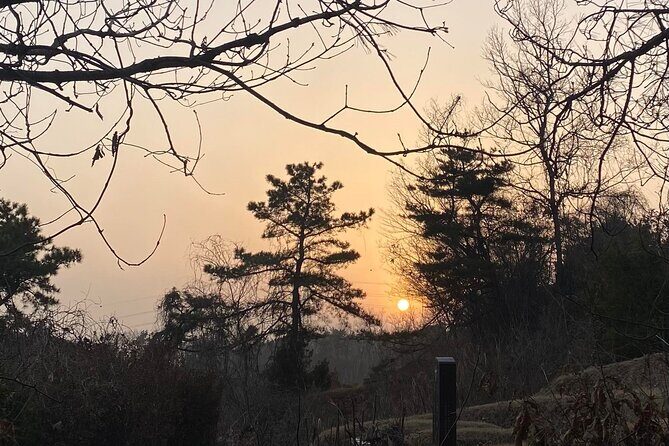 Korean Cemetery and Folklore Trek - Why This Tour is Worth Considering