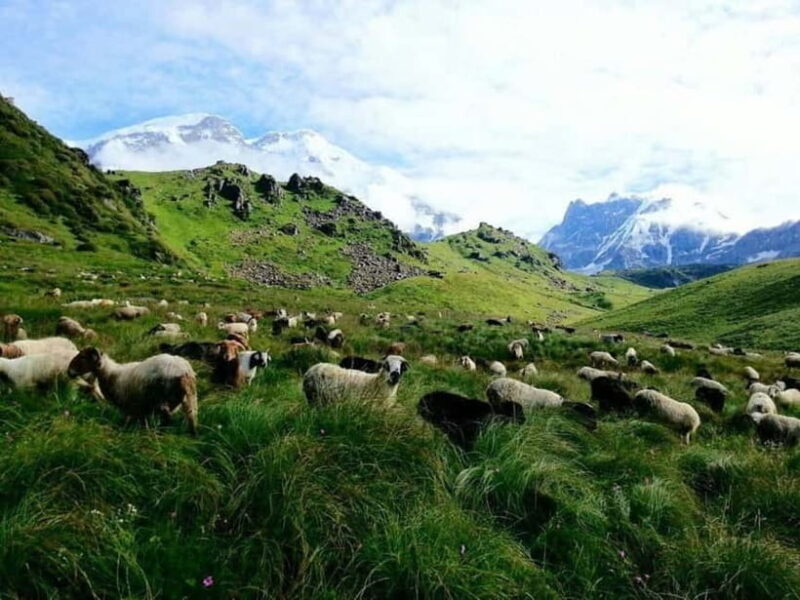 Kori Danda 3-Day Trek - A Closer Look at the Kori Danda 3-Day Trek