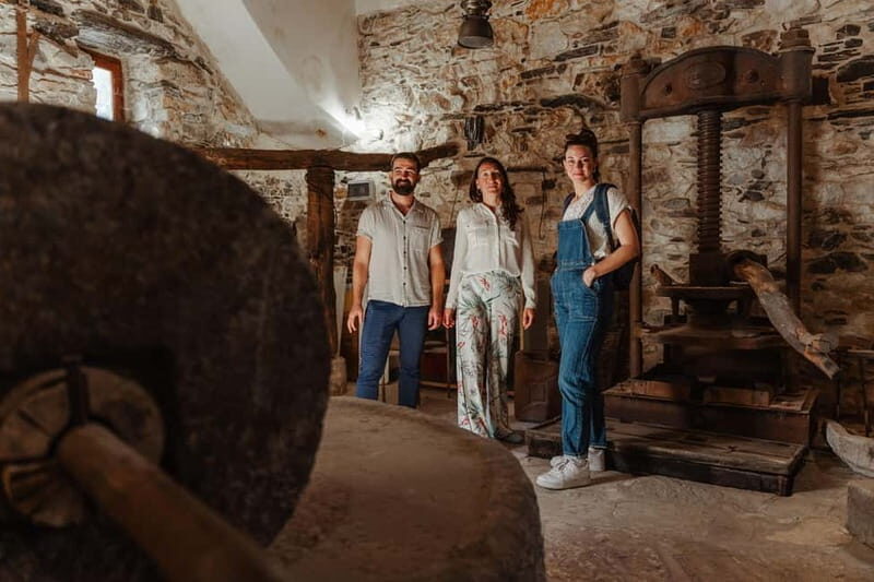 Koronos: Cook, Craft & Explore a Traditional Naxian Village - The Sum Up