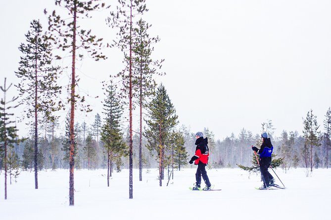Korouoma Canyon Snowshoe Trip - Key Points  