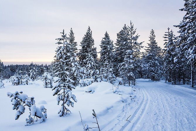 Korouoma Canyon Snowshoe Trip - Frequently Asked Questions  