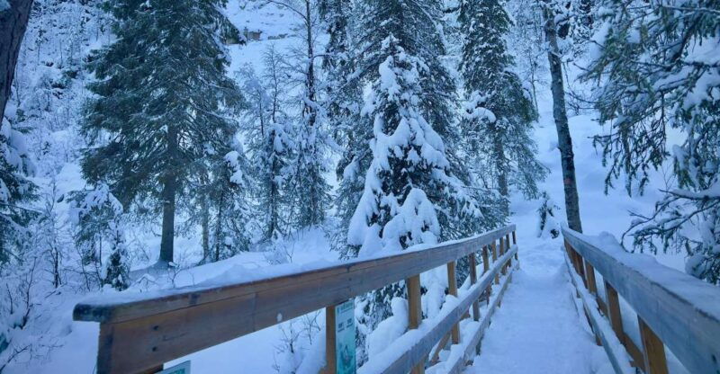 korouoma-frozen-waterfall-hiking-tour