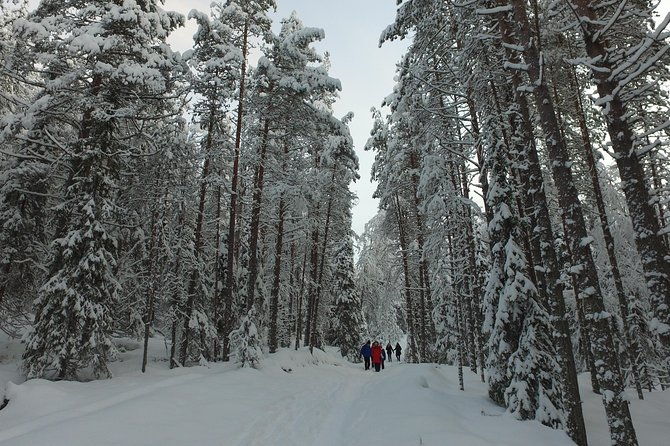 korouoma-national-park-and-frozen-waterfalls-hiking-tour-4