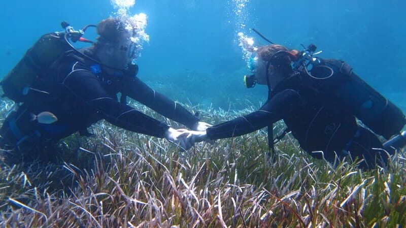 Kos: Beginner Scuba Diving at Pserimos Island - Practical Tips to Make the Most of It