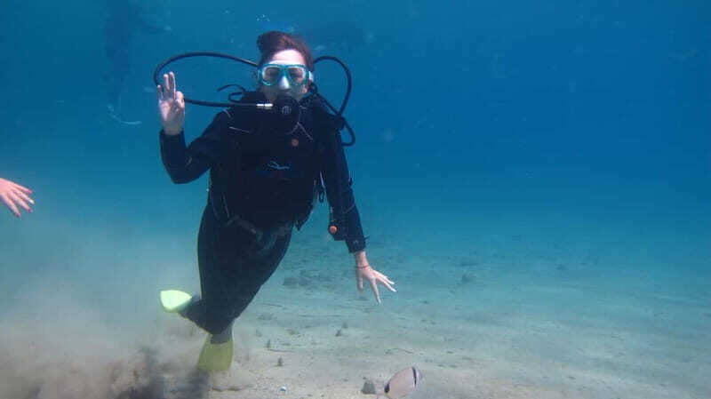 Kos: Beginner Scuba Diving at Pserimos Island - Why This Tour Works