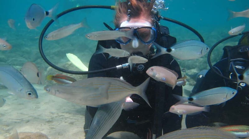 Kos: Beginner Scuba Diving at Pserimos Island - The Sum Up