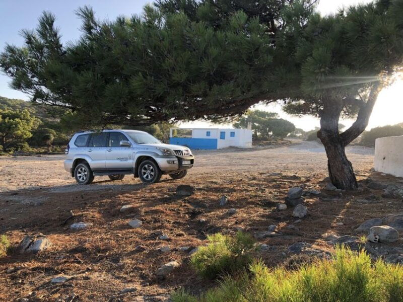 kos-guided-4x4-off-road-tour-to-kefalos-tavern-lunch