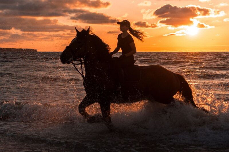 kos-horse-riding-experience-on-the-beach-with-instructor