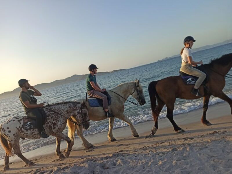 kos-horse-riding-experience-on-the-beach-with-instructor