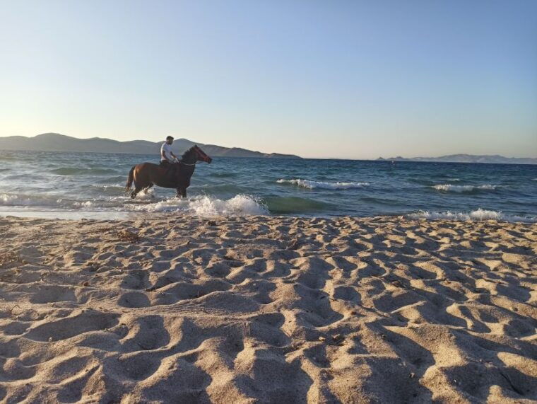 kos-horse-riding-experience-on-the-beach-with-instructor