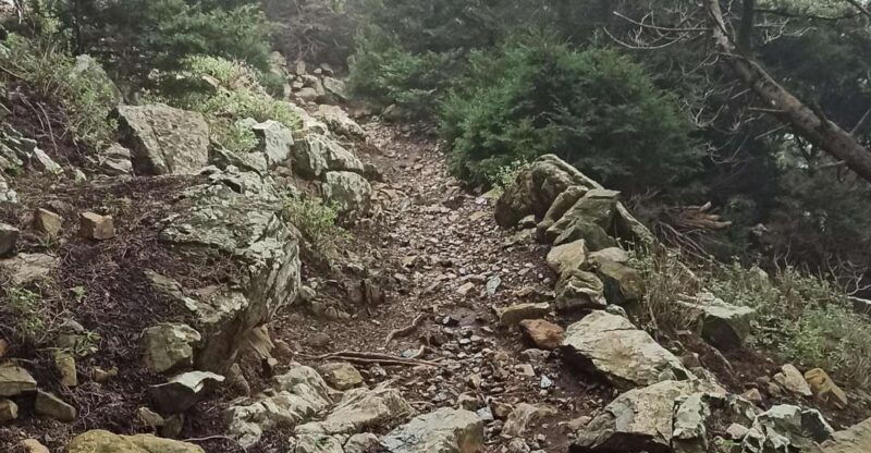 kos-moderate-hiking-tour-on-dikaios-mountain