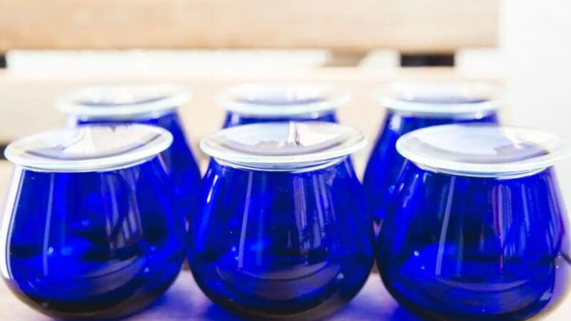 kos-olive-oil-tasting-farm-experience
