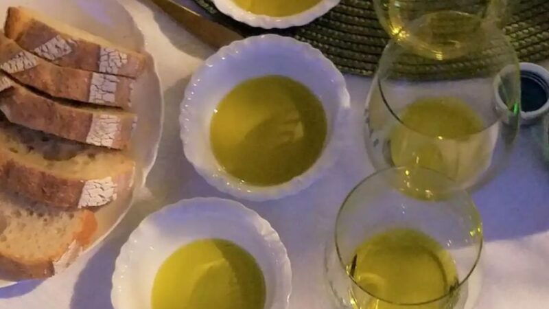 kos-olive-oil-tasting-farm-experience