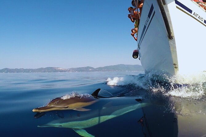 kos-small-group-full-day-sailing-with-meal-drinks-swim