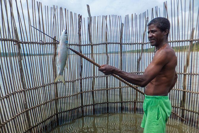 Kosi Bay Mouth Experience - Kayaking, Snorkeling, Fish Trap Tour and Fish braai - What to Expect from the Kosi Bay Mouth Experience