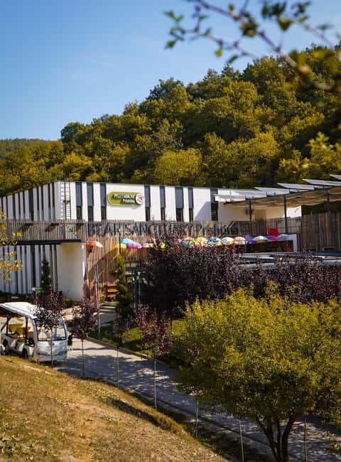 Kosovo: Bear Sanctuary Prishtina, (guided tour & shuttle) - What to Expect from the Bear Sanctuary Experience