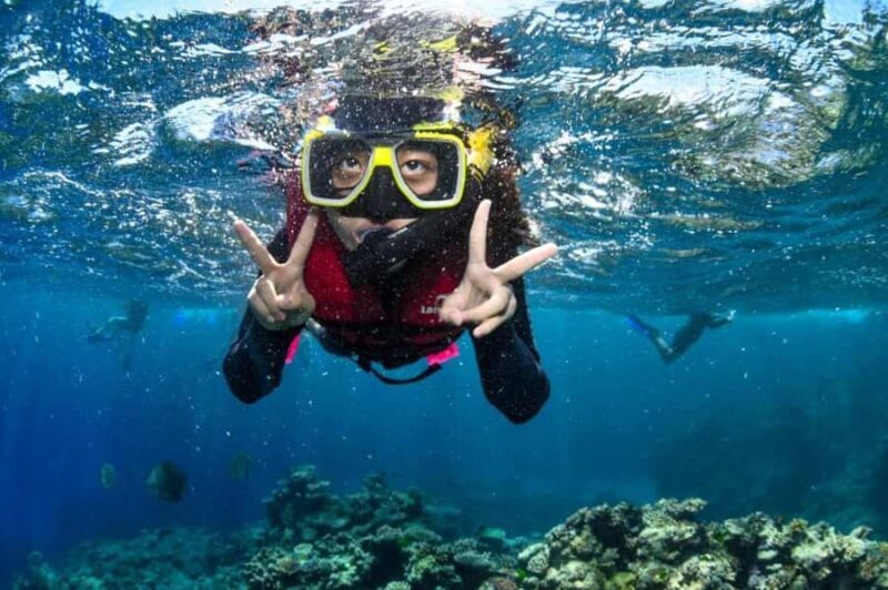 Kota Kinabalu: 1-Day Mengalum Isle & Mengkabong River Cruise - The Sum Up