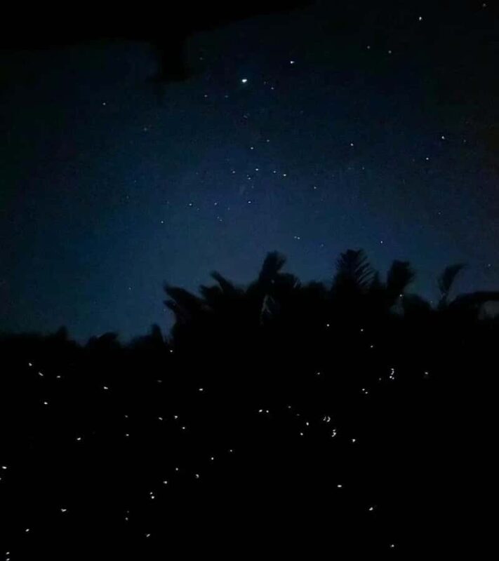 Kota Kinabalu: 5-in-1 Kinabalu View, Fire Show, Blue Tear - The Sum Up