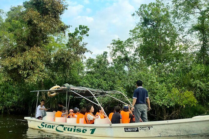 Kota Kinabalu: Beringgis Mangove Fireflies, Sunset Tour & Dinner - Key Points