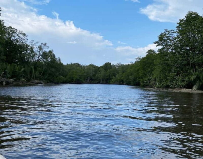 Kota Kinabalu City & Bongawan River Cruise Day Tour Package - Key Points