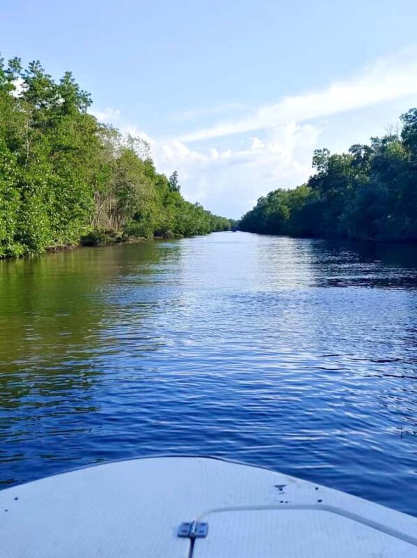 Kota Kinabalu: Kawa-Kawa RiverCruise & Fireflies Shared Tour - FAQ