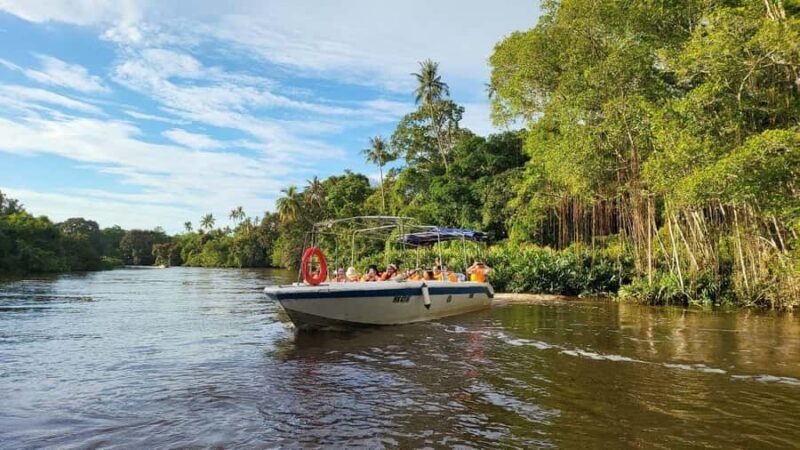 Kota Kinabalu: Kiulu Rafting & Klias Rivercurise Day Tours - Final Thoughts: Is This Tour Worth It?