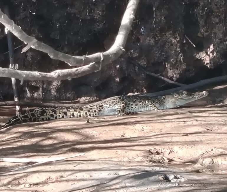 Kota Kinabalu: Mari Mari Village & Bongawan Cruise Package - An Overview of the Tour Experience